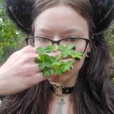 cloverthelucky