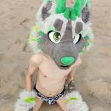 midorifox
