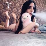 stepsis_suziefree