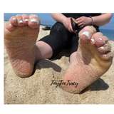 tinytoetracy