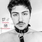 transtrentfree