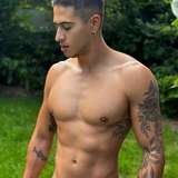 nicolas_qfree