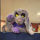 oliverthewabbit