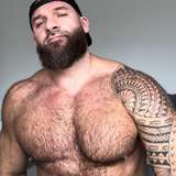 sergebear