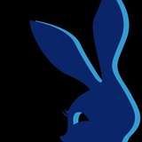 bunni215