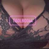 tigolbidd44