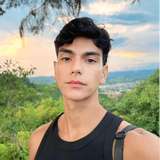 davelionx
