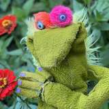 esmereldathepuppet