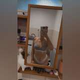 mistresssunnie