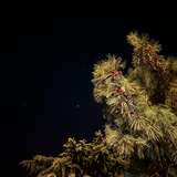 violinisnotinterested